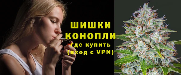 бошки Карпинск